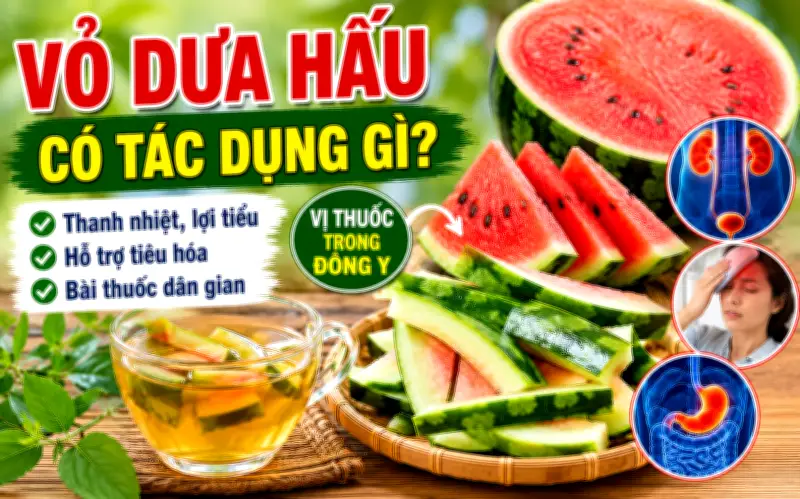 Đừng vội bỏ thứ này: Bộ phận ít ai ngờ lại là vị thuốc thanh nhiệt lợi tiểu trong Đông y