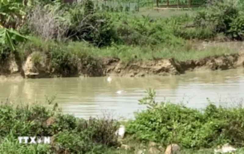 Nghệ An: Bé gái 3 tuổi rơi xuống ao, hai chị em ruột tử vong thương tâm