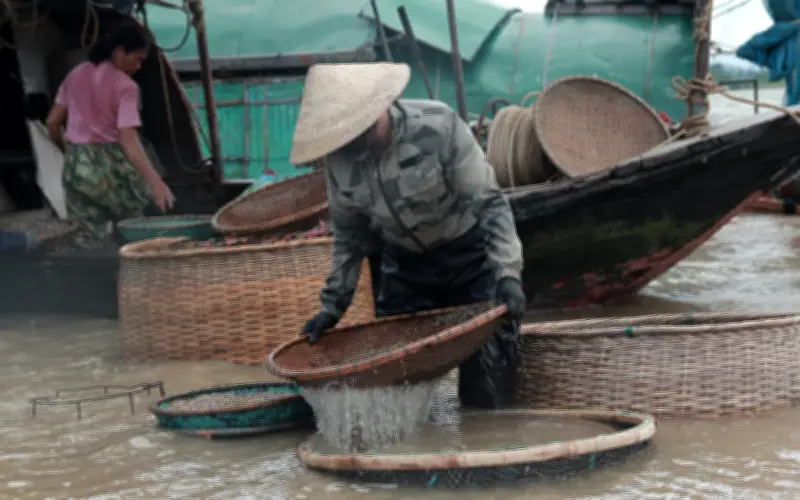 Nghề đãi hến sông La: Vất vả nhưng mang lại thu nhập ổn định cho người dân Hà Tĩnh
