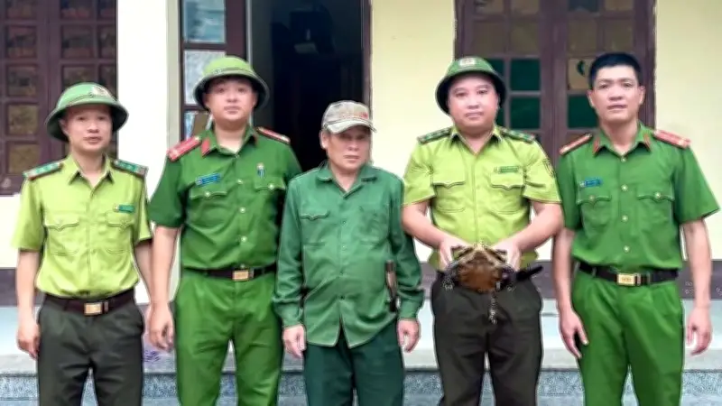 Người dân Thanh Hóa giao nộp rùa núi viền quý hiếm cho kiểm lâm