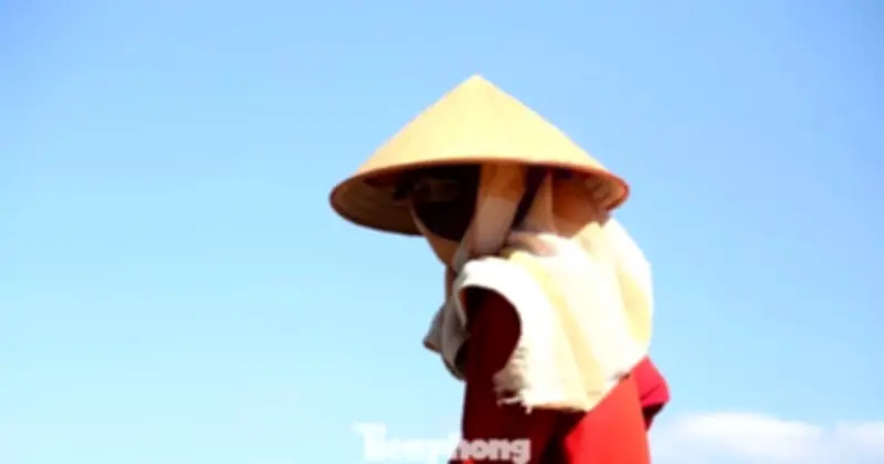 Người lao động Nghệ An 'đốt sức' giữa nắng nóng 40 độ C