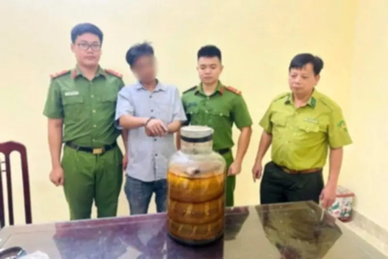 Người đàn ông ở Ninh Bình bị bắt khi chở rượu ngâm rắn hổ mang chúa đi bán