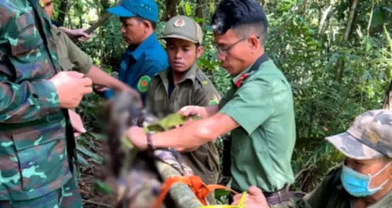 Người đàn ông tử vong trên cây cao 40m nghi do đột quỵ