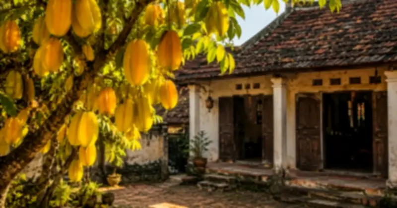 Người xưa dặn: Đừng chặt 3 cây quý trong sân vườn kẻo mất lộc