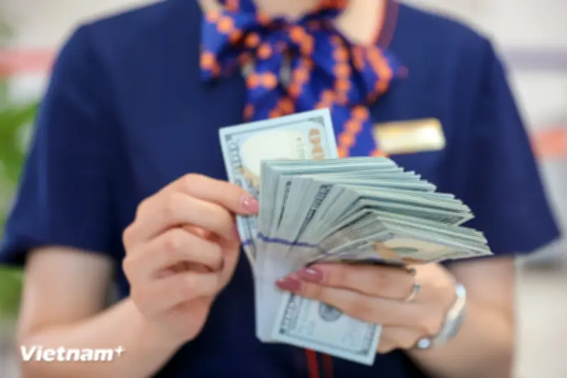 Ngân hàng Nhà nước đề xuất nhiều cơ chế mới quản lý dự trữ ngoại hối
