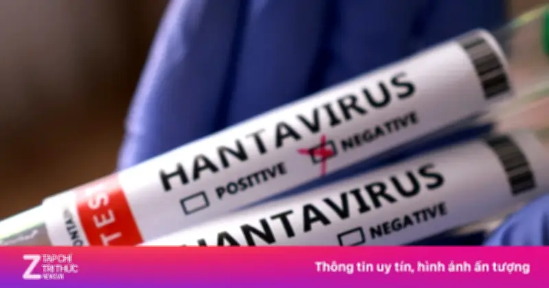 Nguồn gốc ổ dịch virus Hanta trên du thuyền MV Hondius vẫn là bí ẩn
