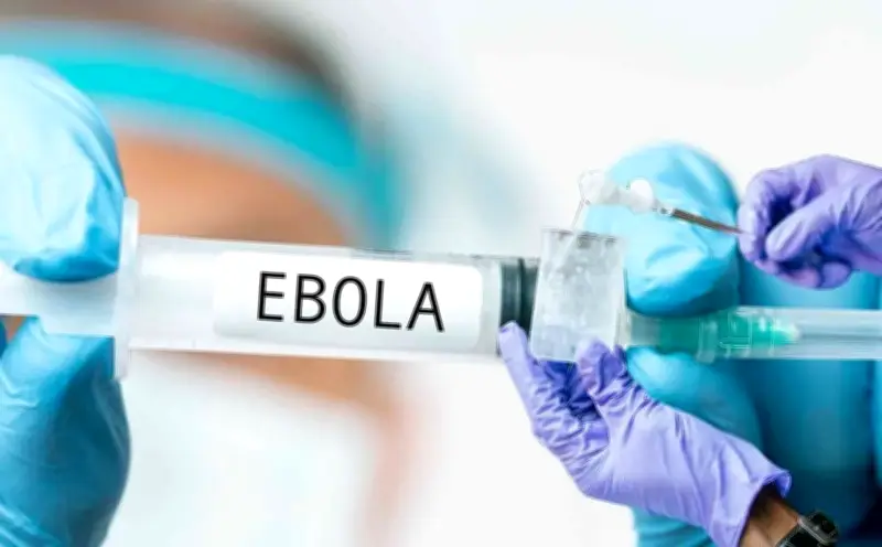 Nguy cơ Ebola bùng phát thành đại dịch tại Việt Nam rất thấp