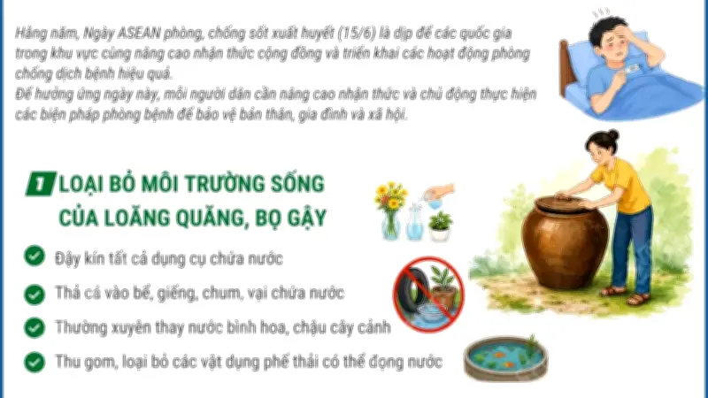 Ngày ASEAN phòng chống sốt xuất huyết: 3 việc cần làm để phòng bệnh hiệu quả