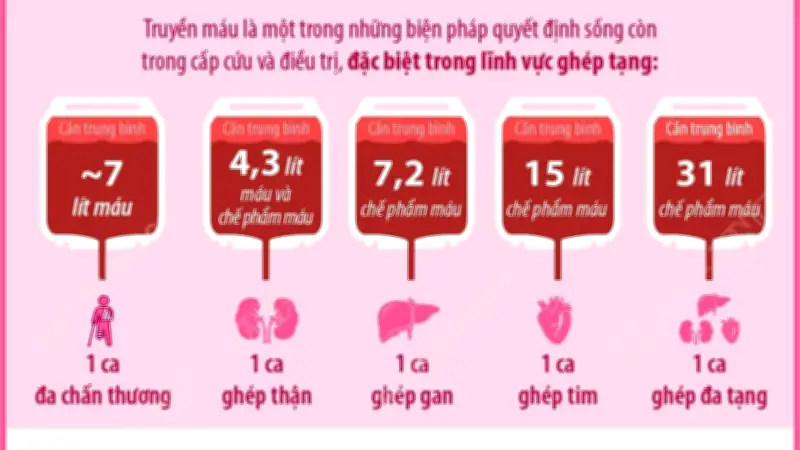 Ngày Quốc tế Người hiến máu: Giọt máu tình người, hiến máu đạo trào sự sống
