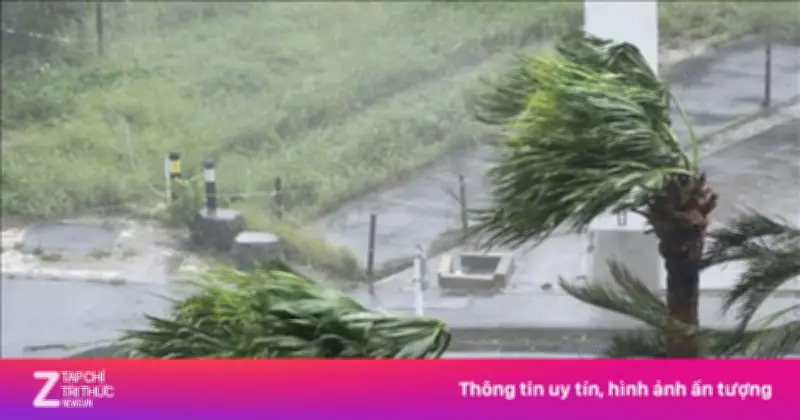 Nhật Bản hủy hơn 100 chuyến bay do bão nhiệt đới Mekkhala và Higos