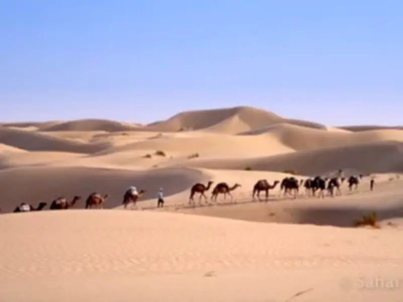 Niger: Gần 50 người chết giữa sa mạc Sahara khi di cư