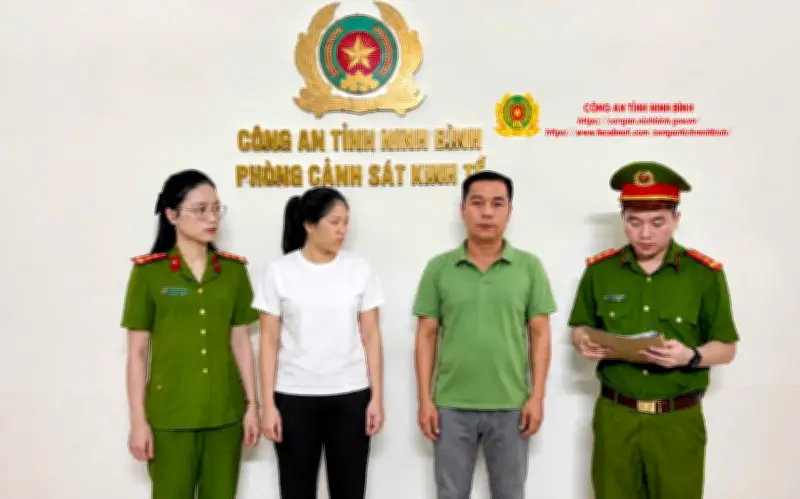 Ninh Bình khởi tố giám đốc doanh nghiệp cây xanh sử dụng 60 hóa đơn trốn thuế