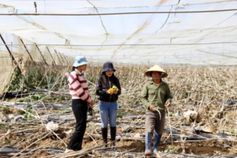 Nén nỗi đau lên sóng: Nhà báo Thu Hằng và hành trình hòa nhập sau sáp nhập tỉnh