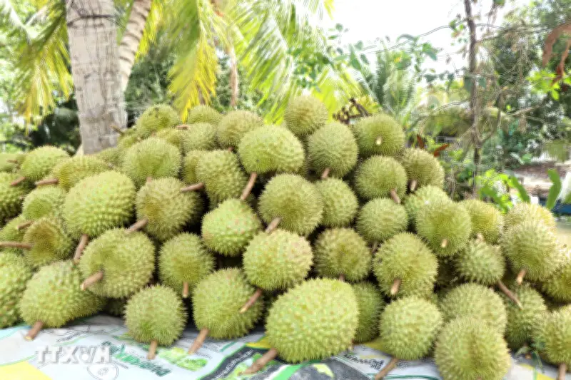 Nông sản Việt: Trung Quốc muốn giữ thị trường phải đi bằng chất lượng