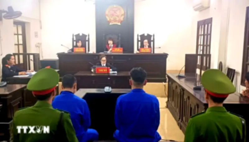 Phó Thủ tướng Lê Tiến Châu chủ trì họp về dự án Luật Luật sư