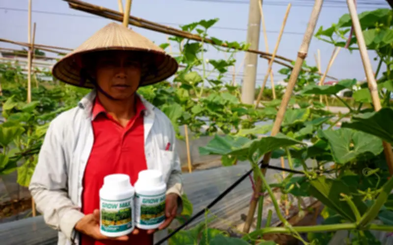 Phân bón GROW MAX NPK 8000 giúp cây trồng bứt phá bộ khung tán