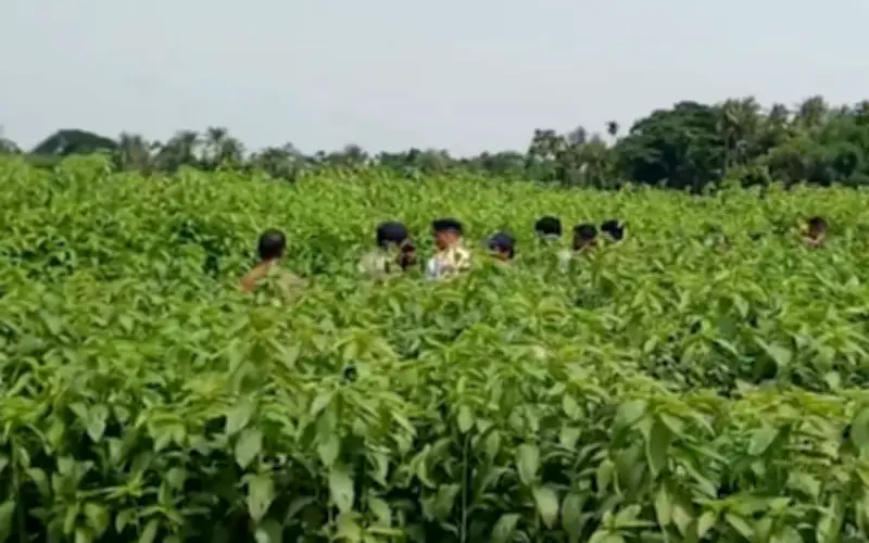 Phát hiện kho tiền 6,2 tỷ đồng chôn giấu dưới cánh đồng đay ở Ấn Độ