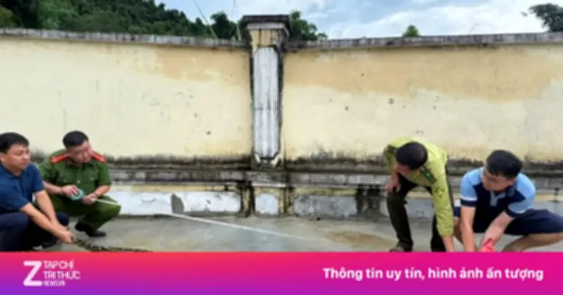 Phát hiện trăn rừng dài 3 mét bò vào vườn nhà ở Lai Châu