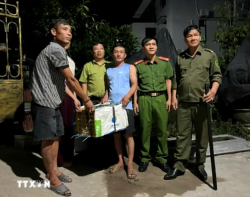 Phát hiện trống đồng cổ bên đường, người dân giao nộp cho cơ quan chức năng