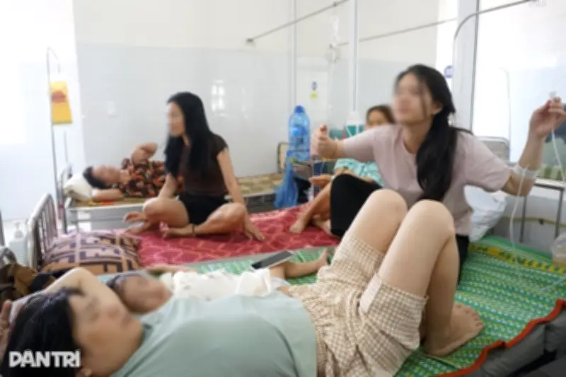 Phát hiện vi khuẩn Salmonella trong vụ ngộ độc bánh mì khiến 124 người nhập viện