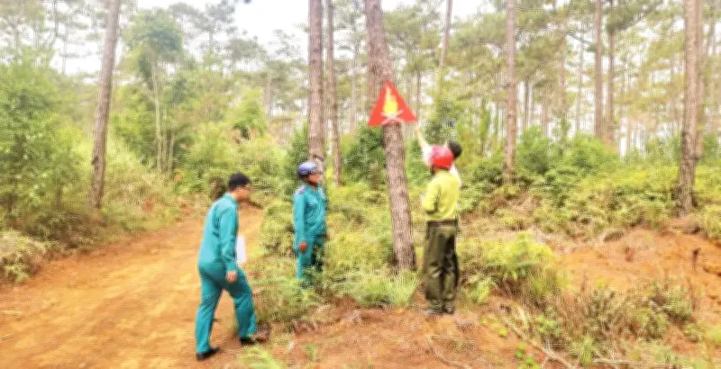 Quảng Ngãi dùng flycam giám sát rừng mùa khô, phát hiện sớm cháy và phá rừng