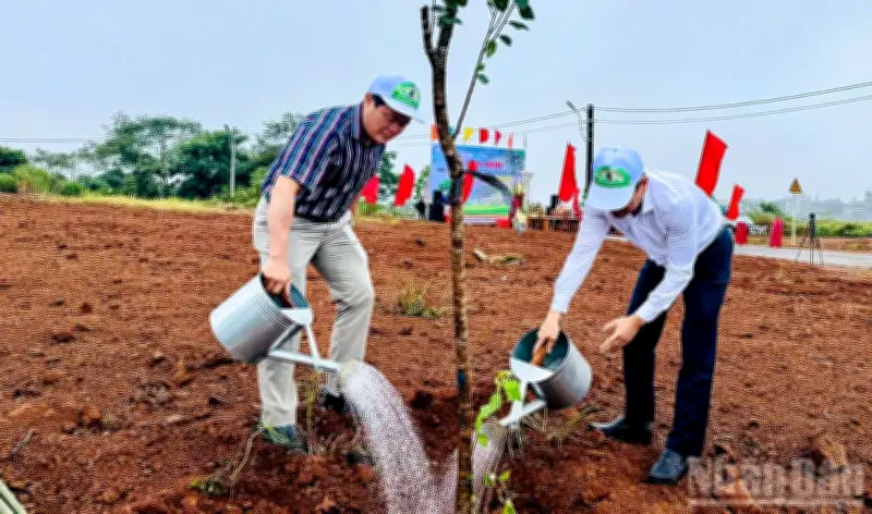 Quảng Ngãi phát động trồng hơn 100.000 cây xanh hưởng ứng Ngày Môi trường thế giới
