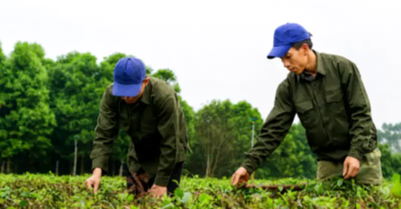 Quảng Ninh: Giảm nghèo thông tin thúc đẩy phát triển kinh tế bền vững