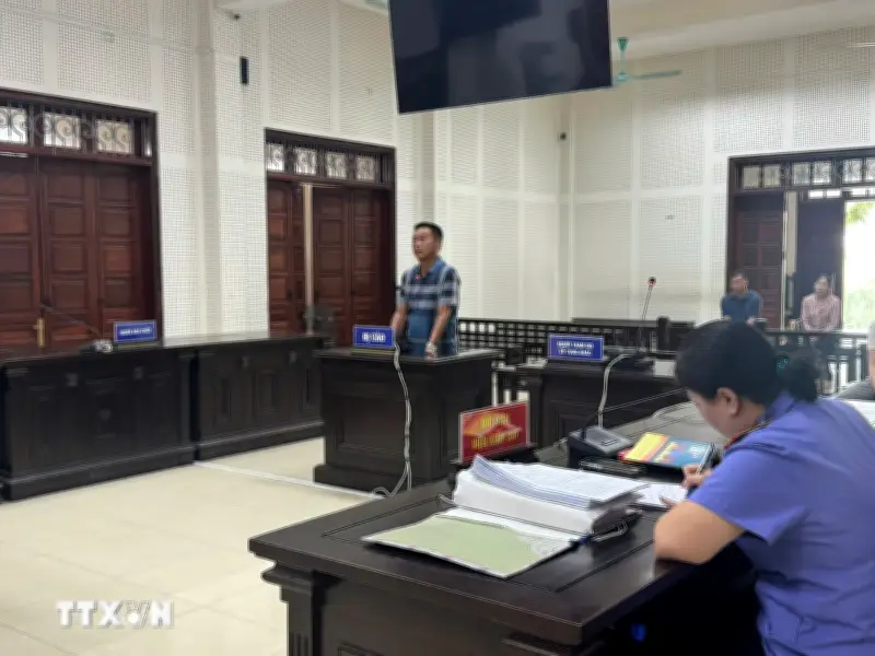 Quảng Ninh: Lĩnh án 4 năm tù vì hủy hoại hơn 10ha rừng tự nhiên