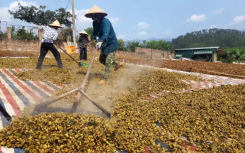 Quảng Ninh đặt mục tiêu tăng trưởng nông lâm thủy sản quý II 5,88%
