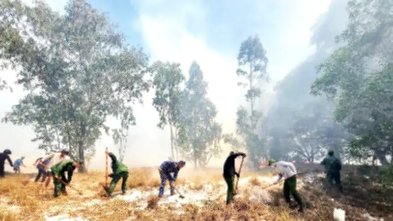 Quảng Trị chống cháy rừng: 11 vụ cháy, hơn 220ha rừng bị thiệt hại