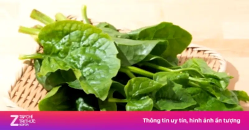 Rau mồng tơi: 'Dược liệu vàng' bổ máu, dưỡng mắt giá rẻ bất ngờ