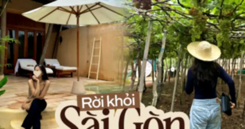 Rời Sài Gòn về Nha Trang: Hành trình tìm lại cuộc sống bình yên