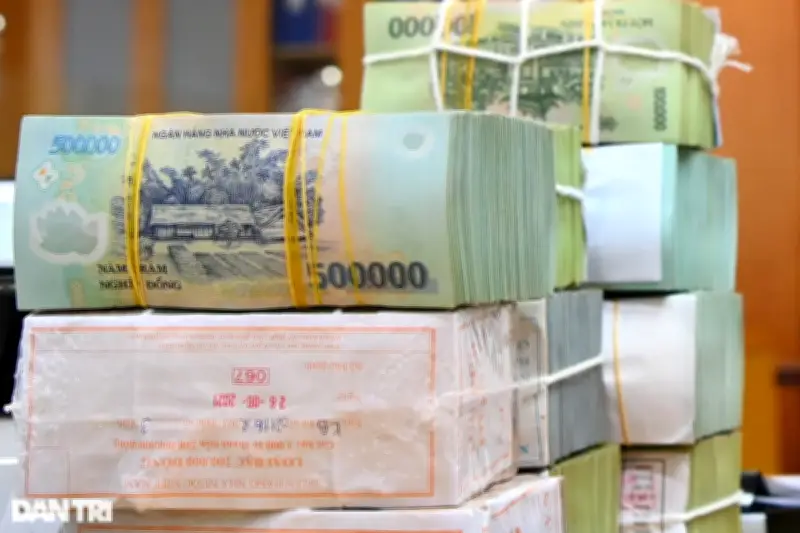 Sẽ ban hành cơ chế hỗ trợ 1.000 doanh nghiệp tiên phong đến năm 2030