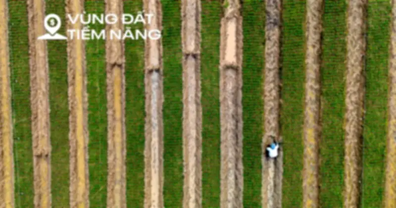 Siêu dự án ven sông Hồng: Tái thiết 11.400 ha, ảnh hưởng 250.000 dân