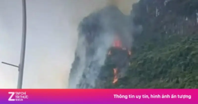 Sét đánh gây cháy gần 3.500 m² rừng phòng hộ tại núi Cao San, Ninh Bình