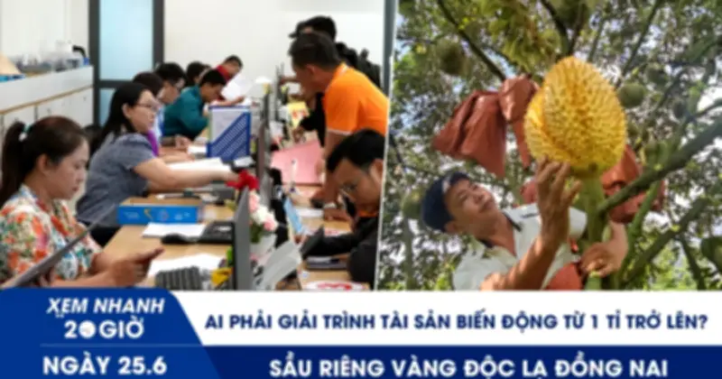 Từ 1.7, ai phải giải trình tài sản biến động từ 1 tỉ đồng?
