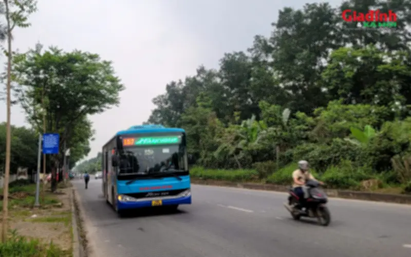 Từ 1/7, Hà Nội khai tử vé tháng giấy đi xe buýt để tăng tốc số hóa giao thông công cộng