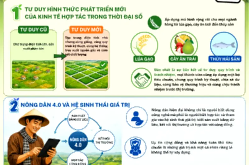 Từ cánh đồng lớn đến cánh đồng có tổ chức: Bước chuyển chiến lược cho nông nghiệp Việt Nam