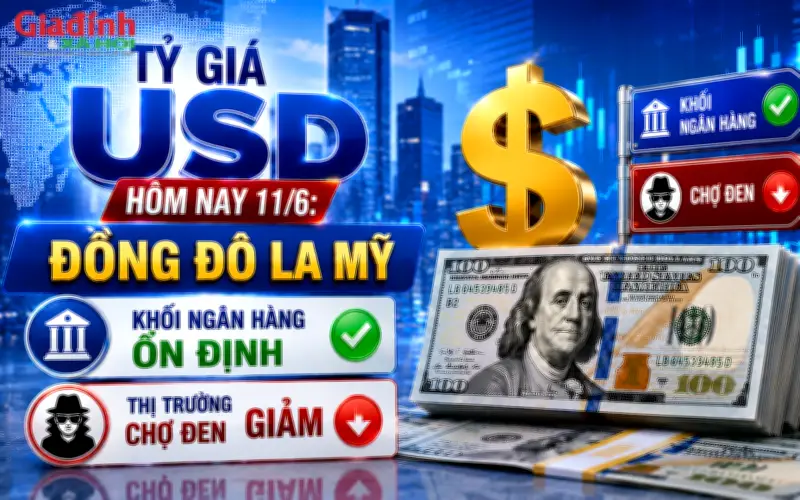 Tỷ giá USD hôm nay 11/6: Đô la Mỹ ngân hàng ổn định, thị trường chợ đen giảm giá