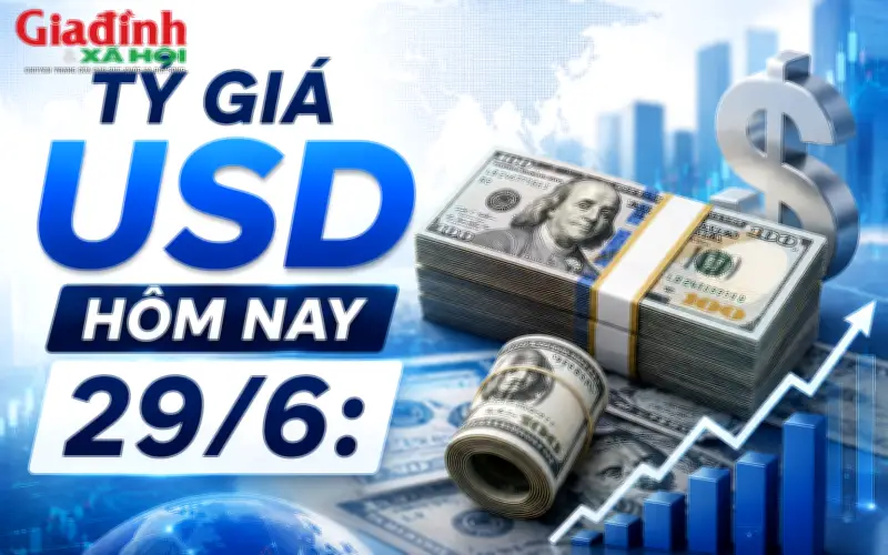 Tỷ giá USD hôm nay 29/6: Đồng đô la Mỹ biến động trái chiều
