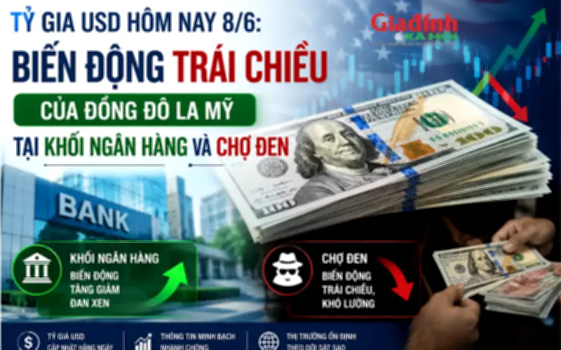 Tỷ giá USD hôm nay 8/6: Biến động trái chiều, đồng đô la Mỹ tại kho bạc và chợ đen