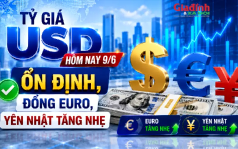 Tỷ giá USD hôm nay 9/6 ổn định, đồng Euro và Yên Nhật tăng nhẹ