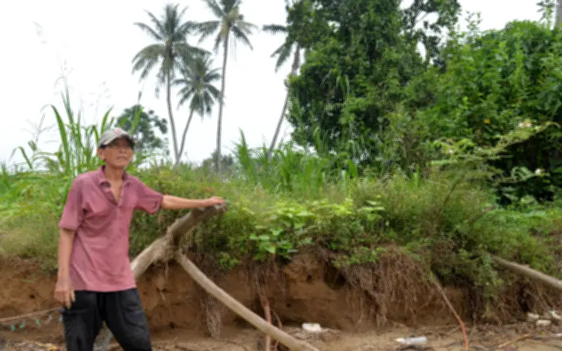 Đất mất dần theo mùa lũ, người dân ven sông Trà Khúc bất an