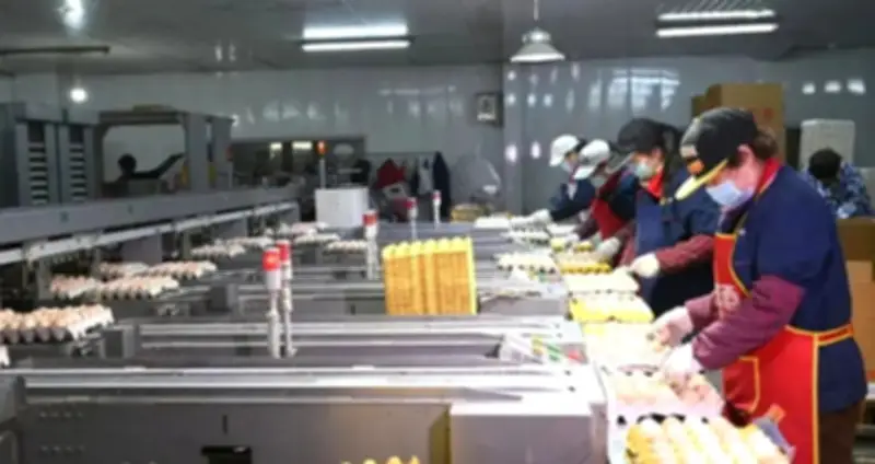 Đột nhập nhà máy sản xuất 450.000 quả trứng tươi mỗi ngày: Phát hiện dây chuyền chế biến đầu tư hơn 193 tỷ đồng