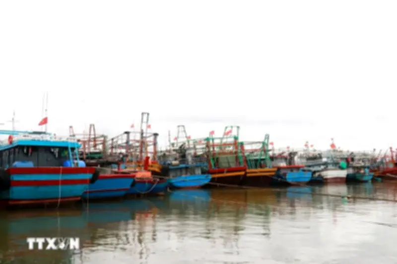 Từ Quảng Ninh đến Lâm Đồng chủ động ứng phó với vùng áp thấp trên biển