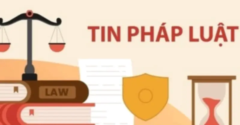 Tòa án Đức bác kháng cáo của Huệ Như, yêu cầu bồi thường và gỡ bỏ nội dung bôi nhọ
