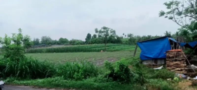 Tòa án Nhân dân TP.HCM sắp xử sơ thẩm vụ án giấy tờ đất đai suốt 3 năm không đăng bộ được