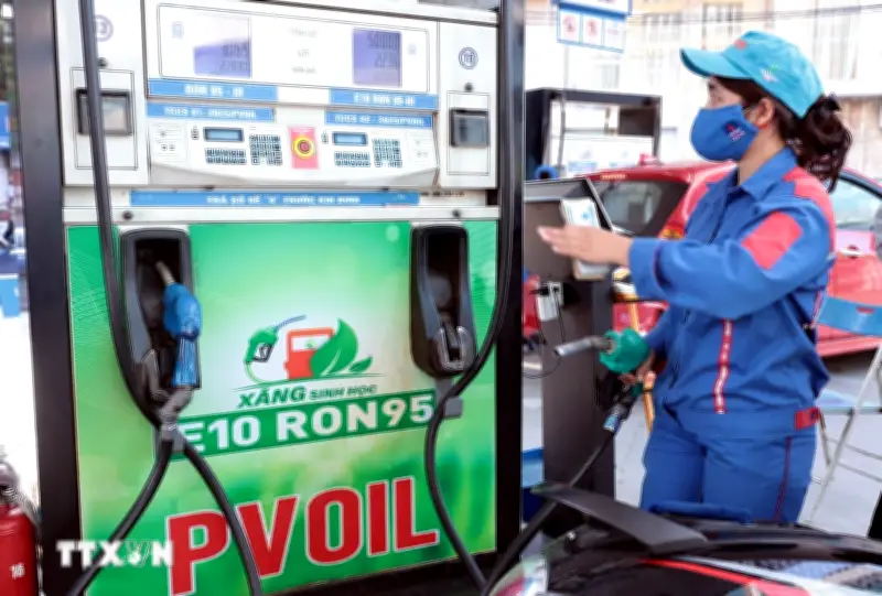 Thí điểm chính sách triển khai lộ trình sử dụng xăng E10