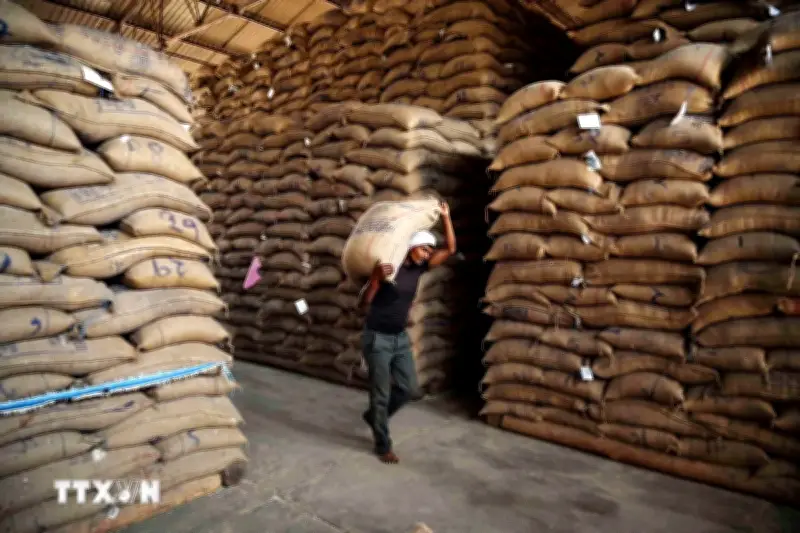 Thị trường nông sản: Giá cà phê thế giới phục hồi ấn tượng sau nhịp giảm