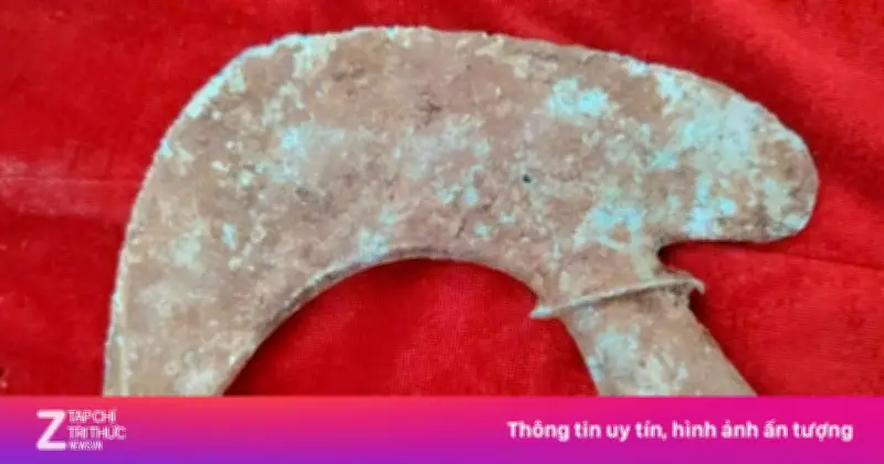 Thẩm định hơn 125 hiện vật văn hóa Đông Sơn nghìn năm tại Nghệ An